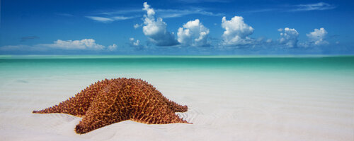 Serenity-Above and Below von kevin dodge, Fotografie kaufen auf Singulart