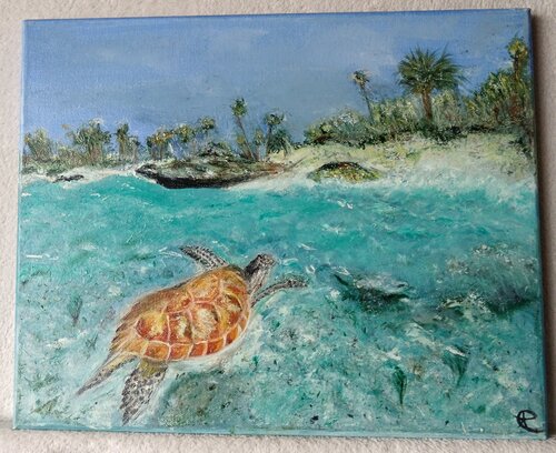 La Tortue by Patricia Touzis, Painting for Sale on Singulart