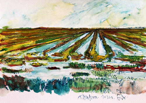 CAMPOS DE LA ALBUFERA par Jose Luis Benitez Segura, Peinture en vente sur Singulart