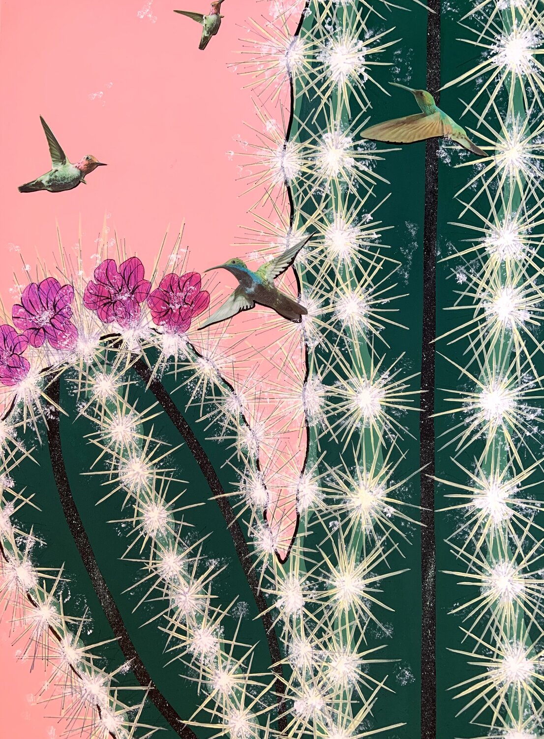 Il Cactus e il Colibrì - Resilienza e guarigione Samanta Dolcetto