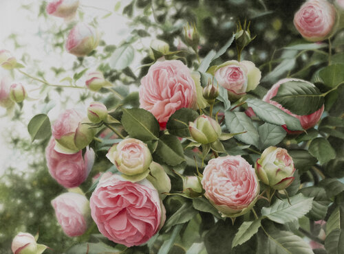The Fairy Tale of Roses by Watercolor artist Arunas Vilkevicius, Painting for Sale on Singulart