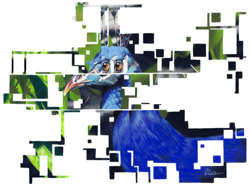 Peacock von André Rios, Zeichnungen kaufen auf Singulart