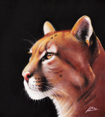 Savage de André Rios, Dibujo a la venta en Singulart
