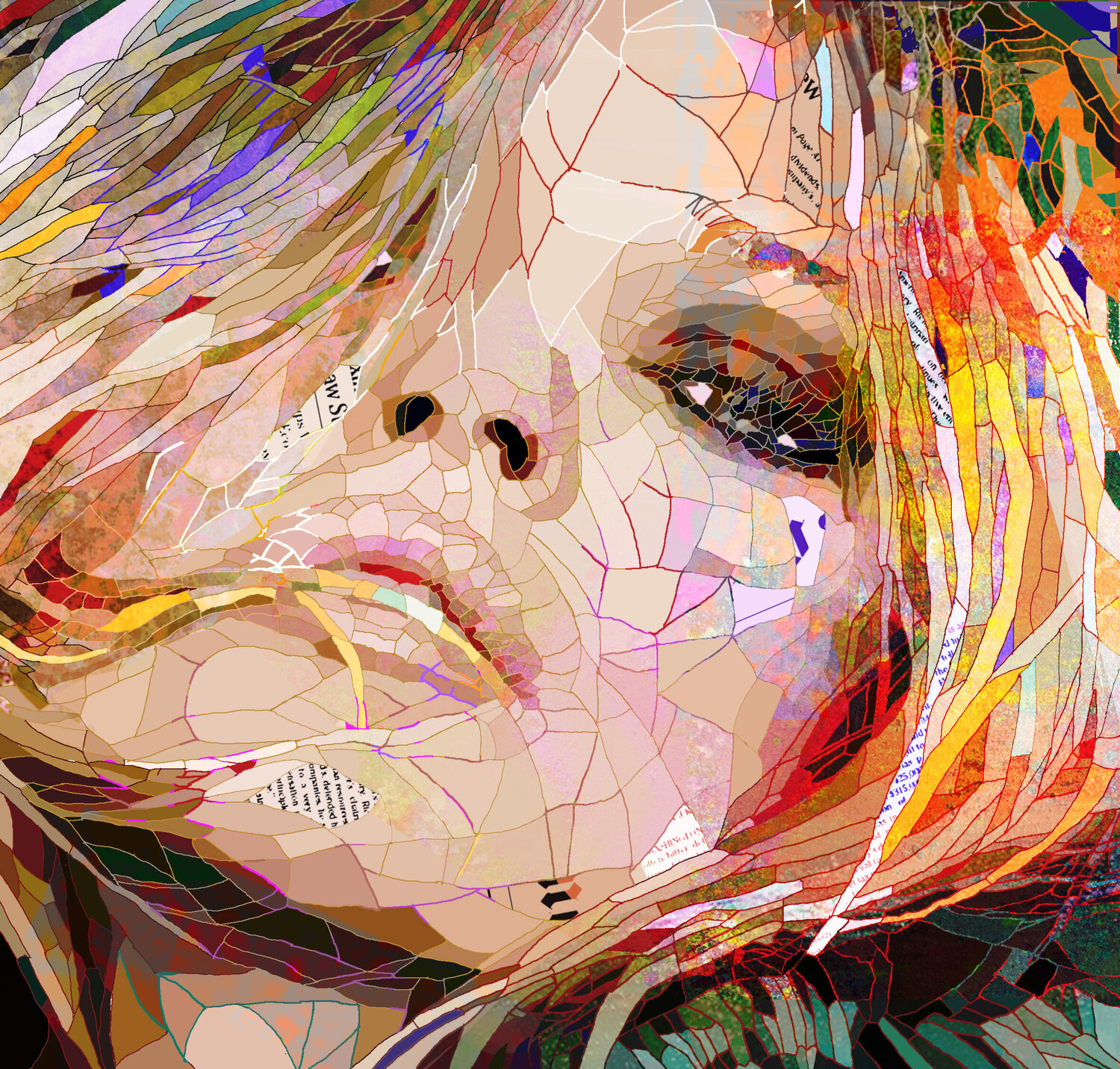 Kate Moss Caroline PARRA