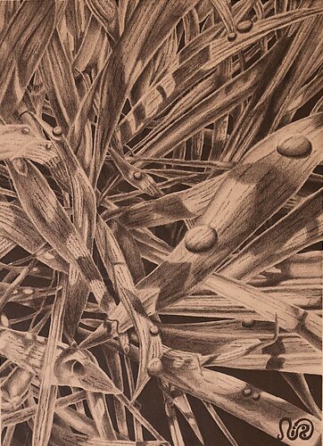 Terrestrial Extra de Neil Holmes, Dibujo a la venta en Singulart