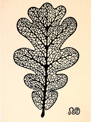 Oak Leaf von Neil Holmes, Zeichnungen kaufen auf Singulart
