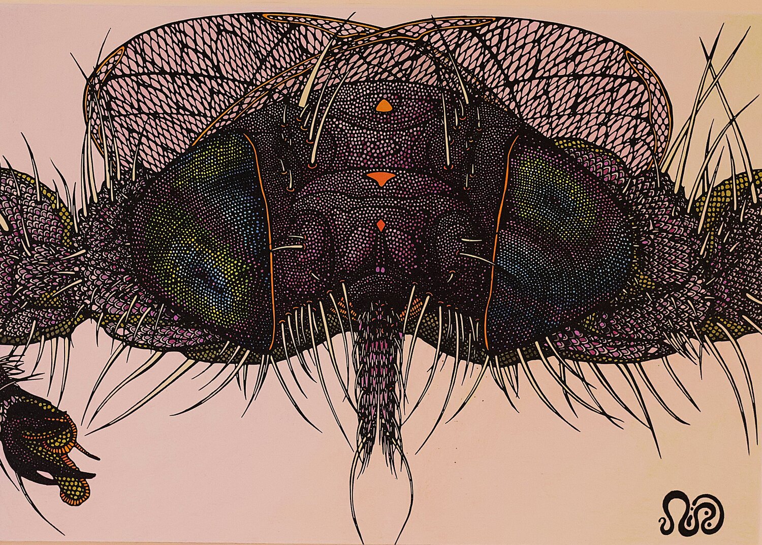 Moosefly Neil Holmes