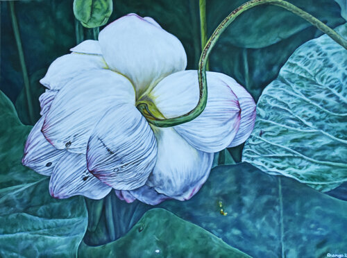 White Lotus Umbilicus by Gwendalin Aranya, Painting for Sale on Singulart