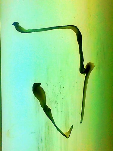 sin titulo 05 von Julio A. Vásquez Keller, Fotografie kaufen auf Singulart