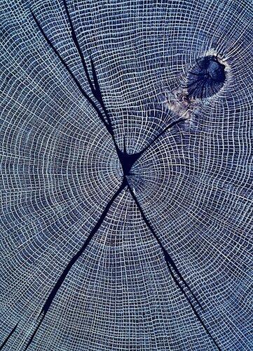 sin título 19 di Julio A. Vásquez Keller, Fotografia in vendita su Singulart