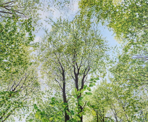 Watch them grow di Georgia Wilhelm, Pittura in vendita su Singulart