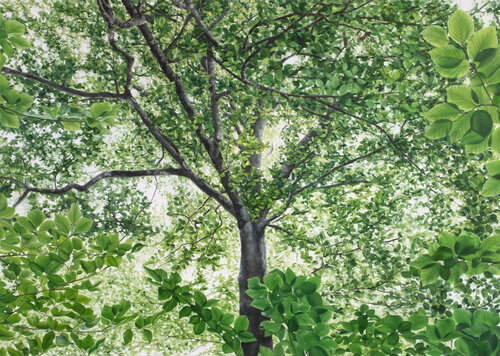 Heldin I by Georgia Wilhelm, Painting for Sale on Singulart