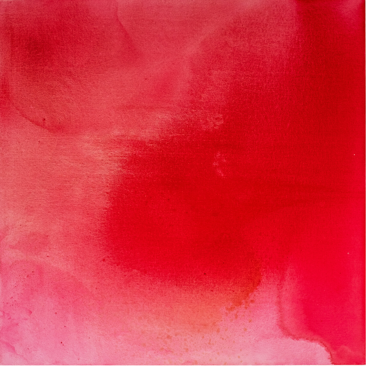 La vibrazione del colore Maho Sato
