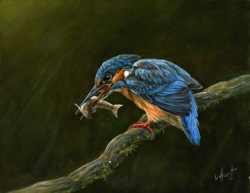 Kingfisher bird Alcedo atthis with fish van Una Hurst, Schilderij te koop op Singulart