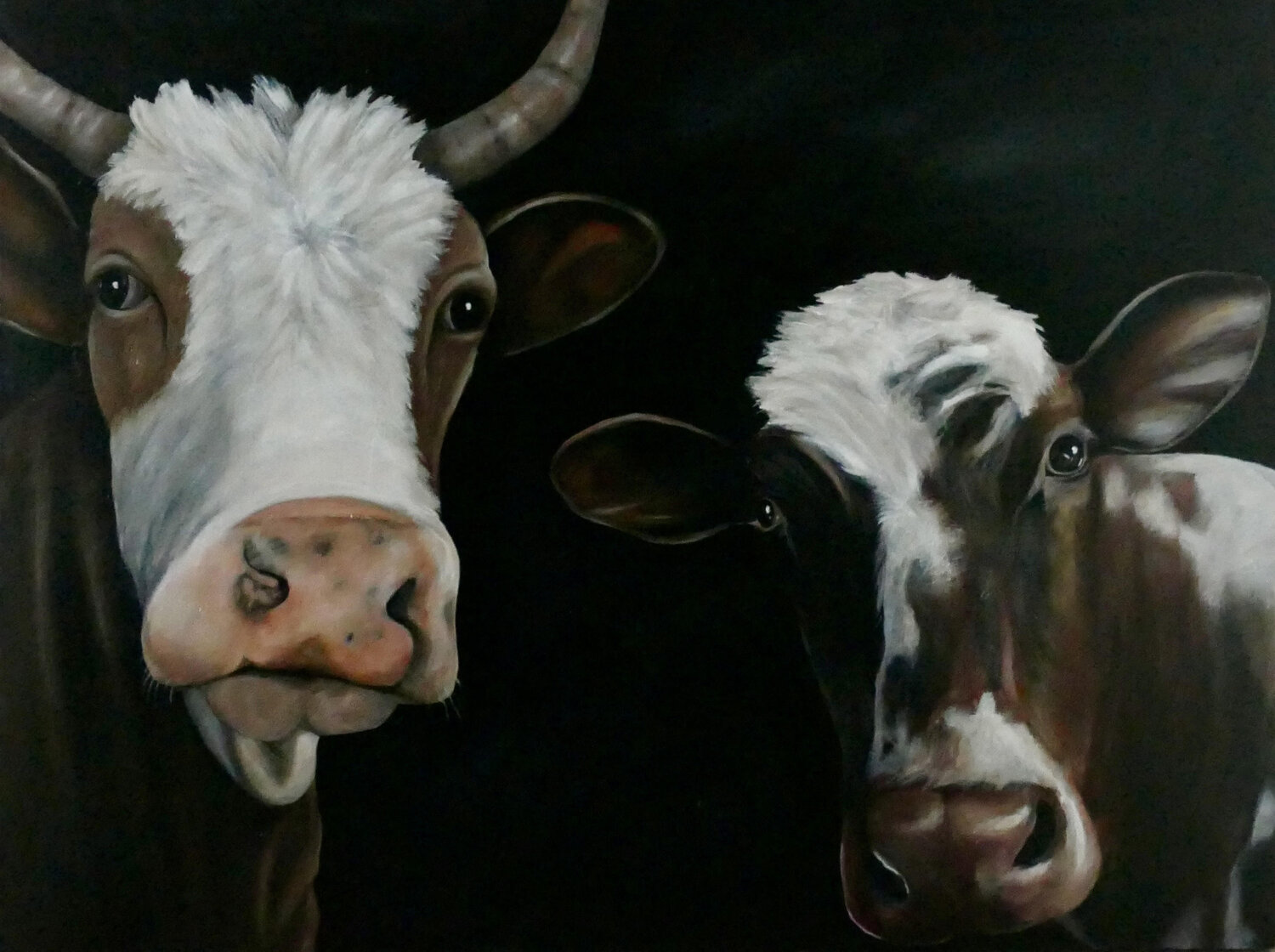 Field Companions nyree roy