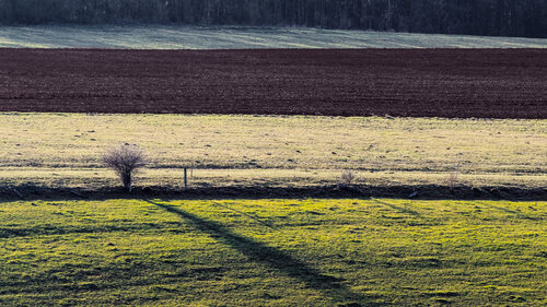 Wenn Sonne malt par Karsten Leineke, Photographie en vente sur Singulart