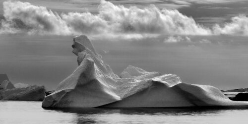 La Grande dame. (Péninsule Antarctique) 2024 di Jean-Pierre ROUSSOULIERES, Fotografia in vendita su Singulart