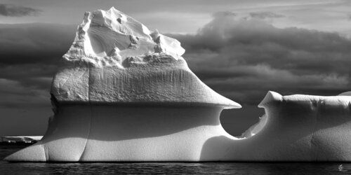 L'Huitre. (Péninsule Antarctique) 2024 di Jean-Pierre ROUSSOULIERES, Fotografia in vendita su Singulart