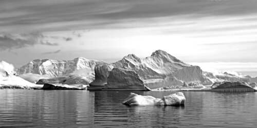 La main posée. Péninsule Antarctique 2024 von Jean-Pierre ROUSSOULIERES, Fotografie kaufen auf Singulart