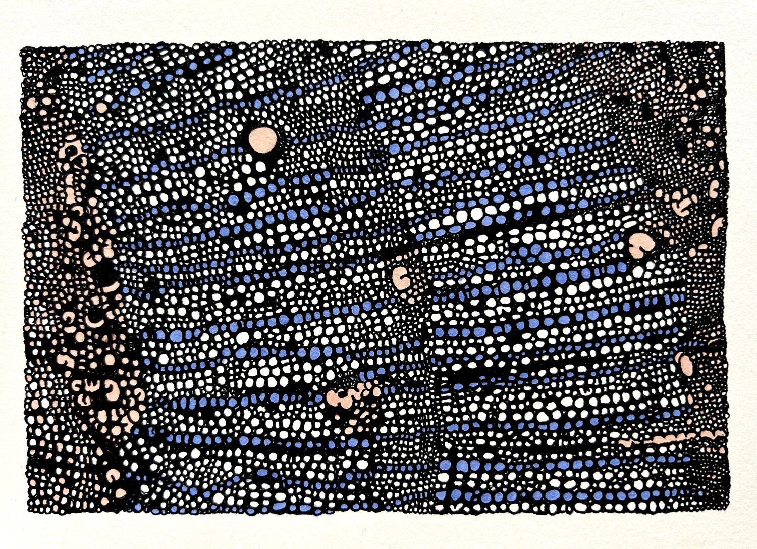 Indivisible 2 Heather Ford