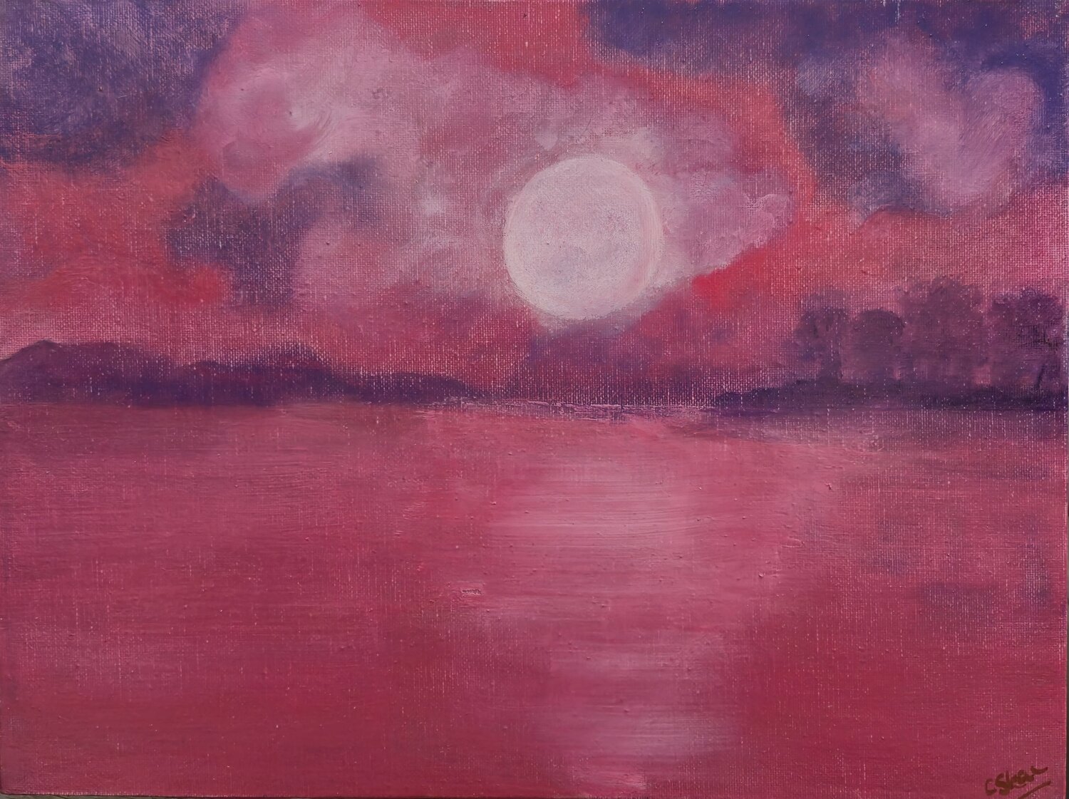 The Red Moon's Reflection Chantelle Stean