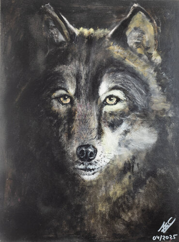 Silent Watcher de José Jorge Fragoso Côco, Pintura a la venta en Singulart