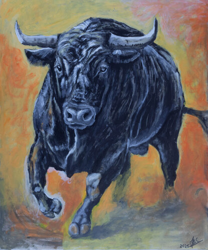 Touro 1 di José Jorge Fragoso Côco, Pittura in vendita su Singulart