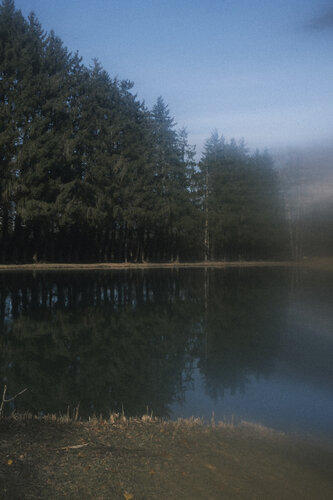 mystery lights I von Nadine Loretan, Fotografie kaufen auf Singulart