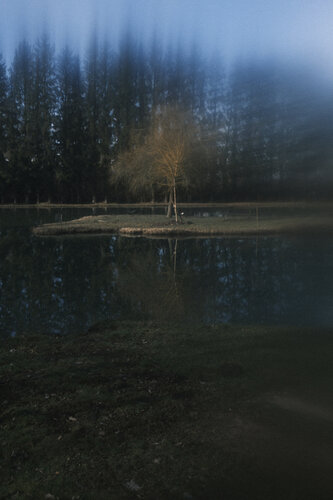 mystery lights II von Nadine Loretan, Fotografie kaufen auf Singulart