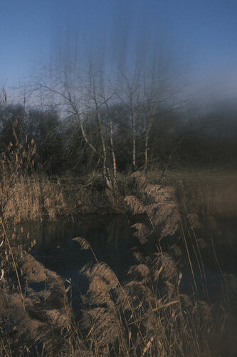 mystery lights III von Nadine Loretan, Fotografie kaufen auf Singulart