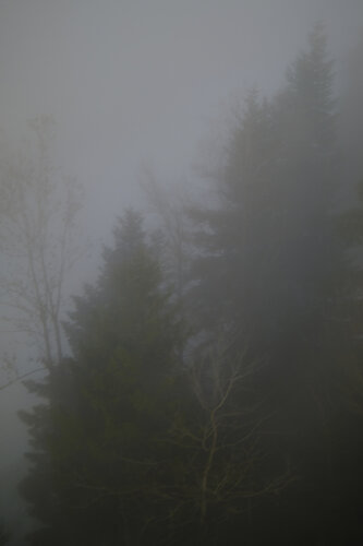 below the fog line II von Nadine Loretan, Digital kaufen auf Singulart