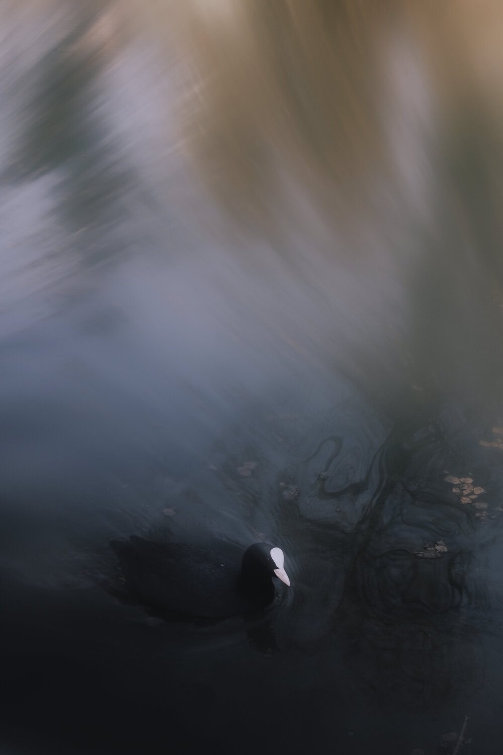 lonely swimmer Nadine Loretan