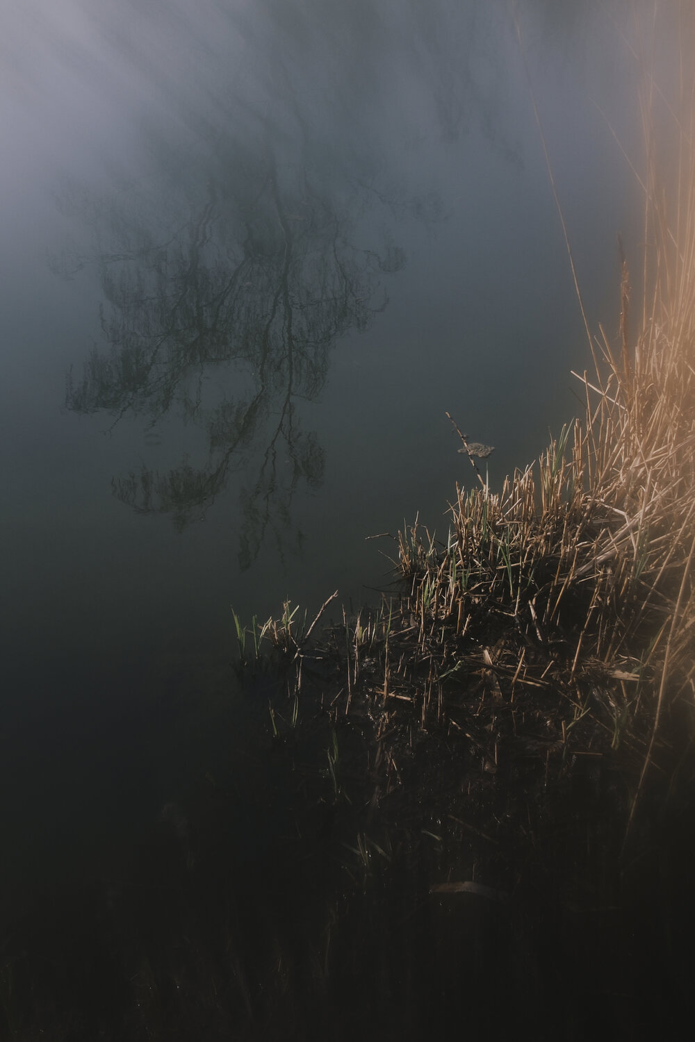Fin de l’hiver Nadine Loretan