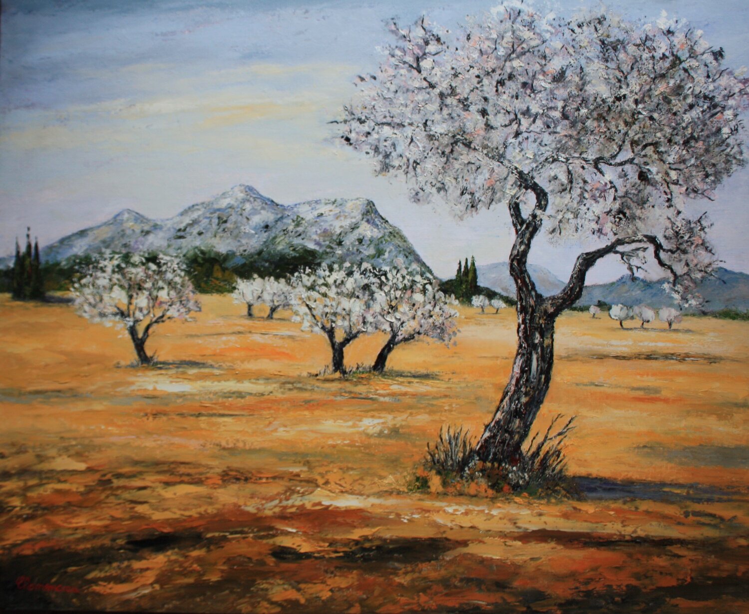 L'amandier en fleurs - Provence J-F CLEMENCEAU Originalgemälde zu verkaufen