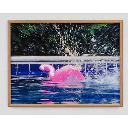 Flamingo von Renato Gosling, Fotografie kaufen auf Singulart