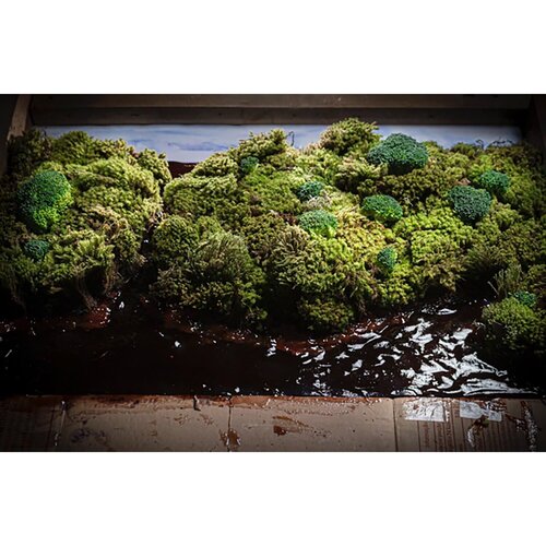 Amazônia von Renato Gosling, Fotografie kaufen auf Singulart