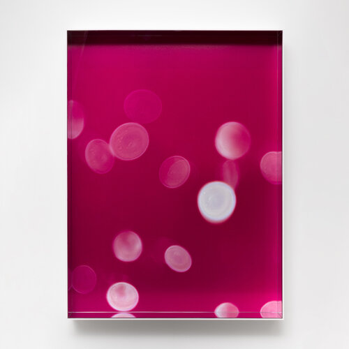 Pink II Orbeez (Photograph on acrylic with silver-splattered edges, causing a reflection of the photo). von Renato Gosling, Fotografie kaufen auf Singulart