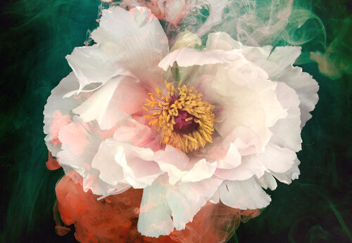 Flow di Martine Vanderspuy, Fotografia in vendita su Singulart