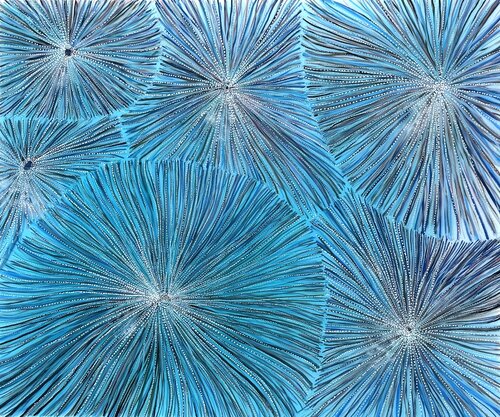 Urchin Martine Vanderspuy