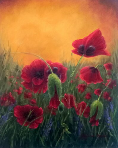Whispers of Poppies at Sunset by Selami Yazıcı, Painting for Sale on Singulart