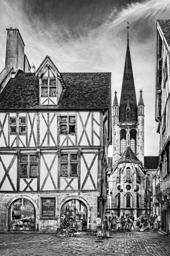 De Mulot&Petitjean à Notre-Dame, l’âge des colombes par Stéphane ROUILLARD, Photographie en vente sur Singulart