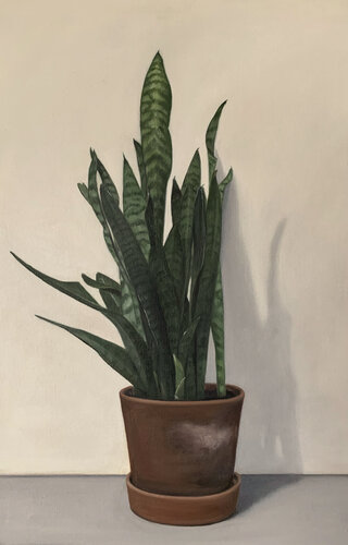 Sanceviera. I par marjon van Boeckel, Peinture en vente sur Singulart