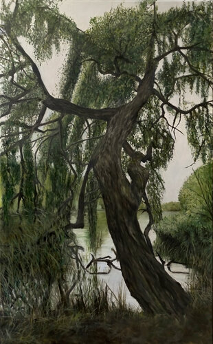 The Willow by marjon van Boeckel, Painting for Sale on Singulart
