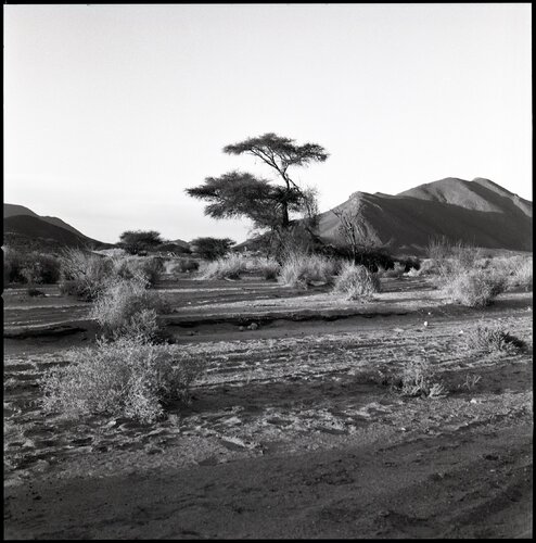 19 - Hoggar de Anne Garde, Fotografía a la venta en Singulart