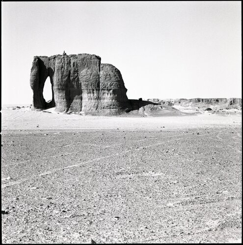 29 - Hoggar - Eléphant de Anne Garde, Fotografía a la venta en Singulart