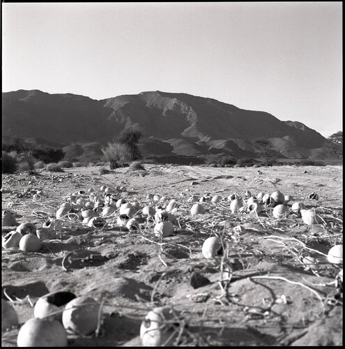 40 - Hoggar de Anne Garde, Fotografía a la venta en Singulart