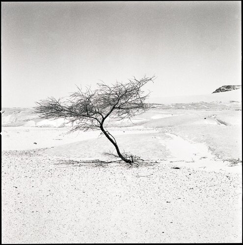 42 - Hoggar Anne Garde
