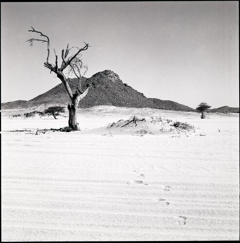 18 - Hoggar de Anne Garde, Fotografía a la venta en Singulart