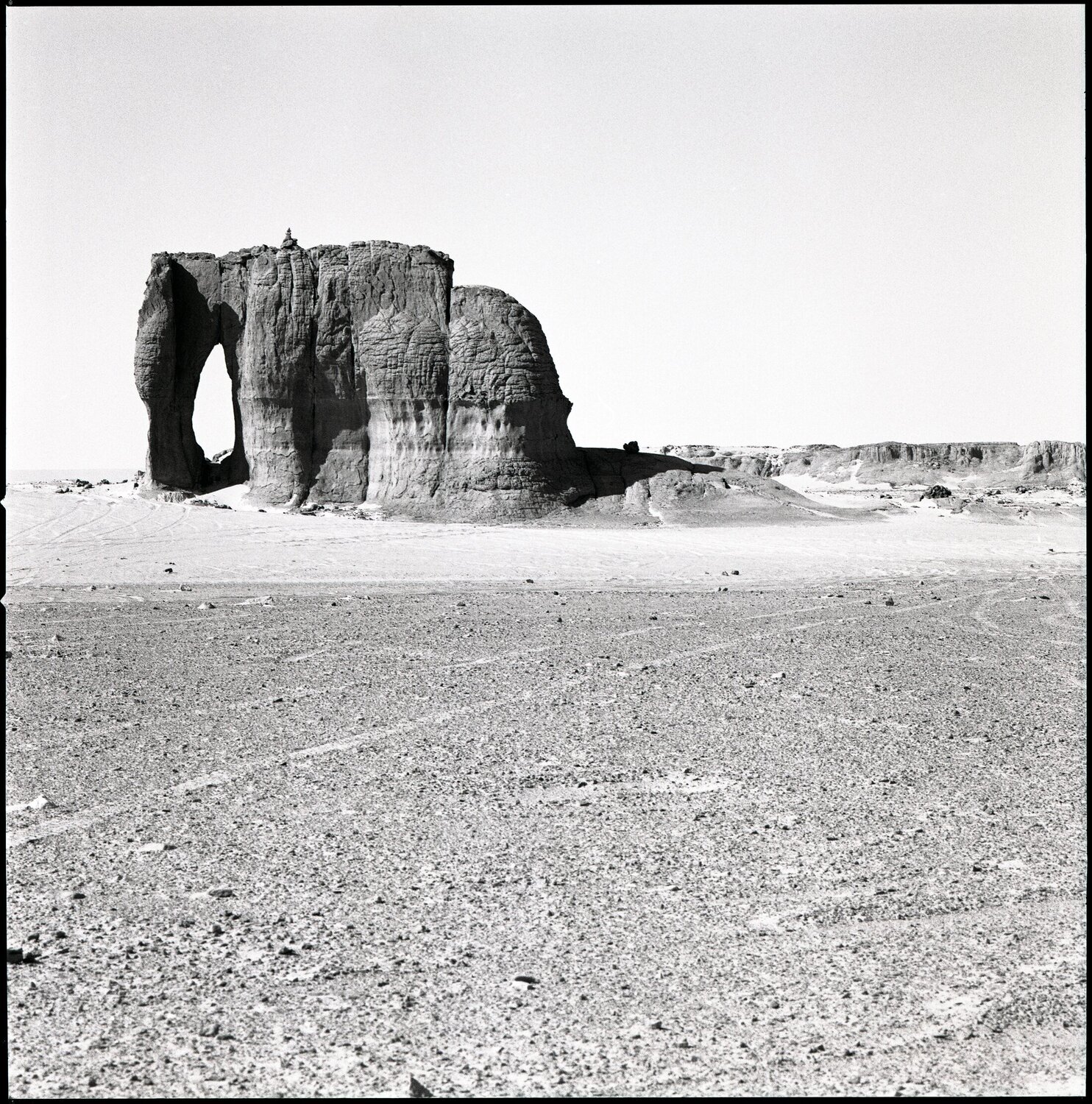 29 - Hoggar - Eléphant Anne Garde
