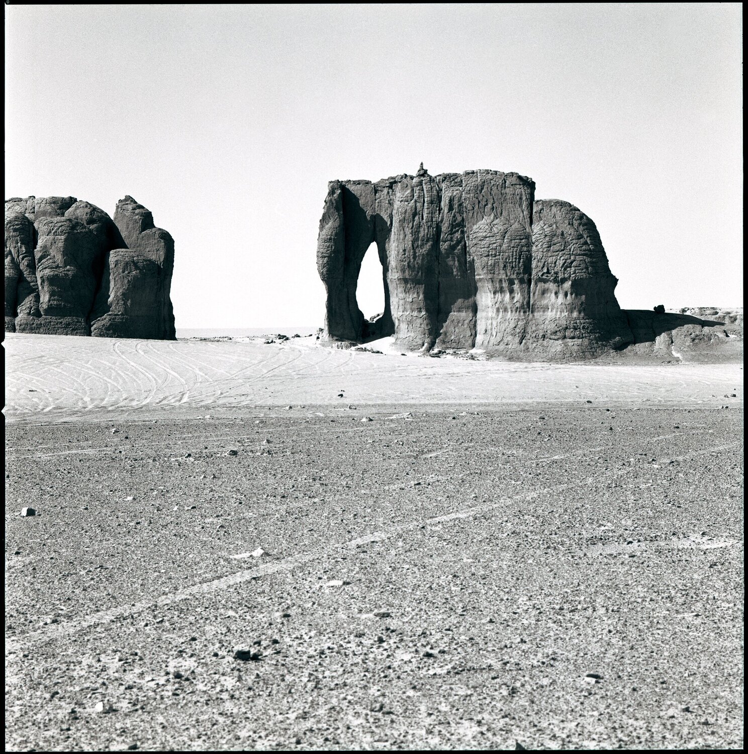 28 - Hoggar - Eléphant Anne Garde